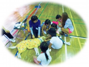 p5.jpg