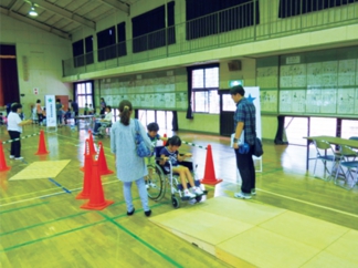 p7.jpg